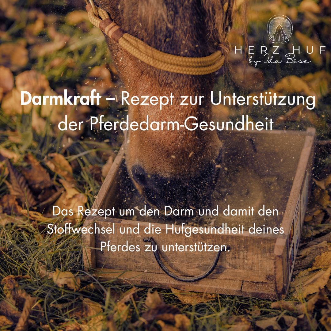 Rezept zur Unterstützung des Pferdedarms (Stoffwechsel, Hufrehe)