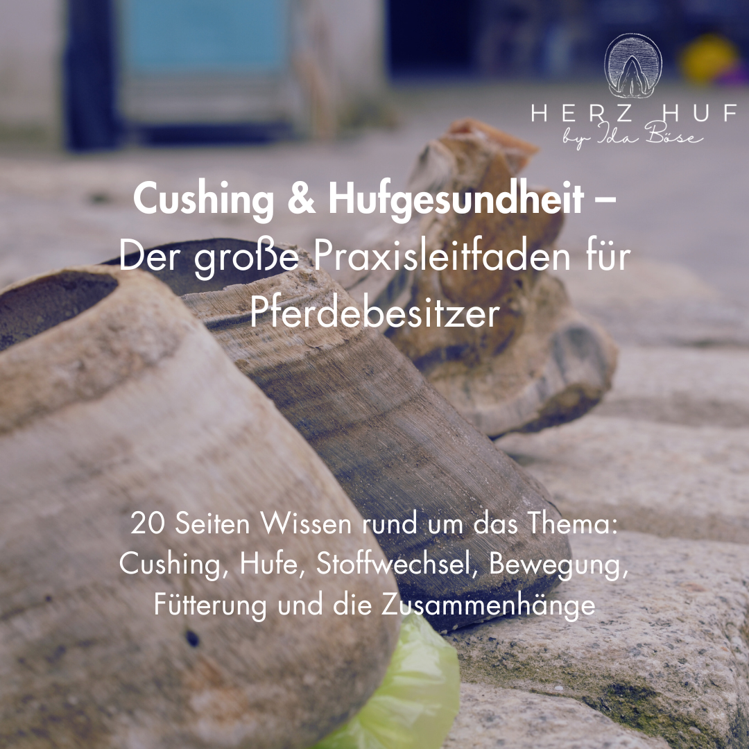 Cushing im Zusammenhang mit Hufgesundheit