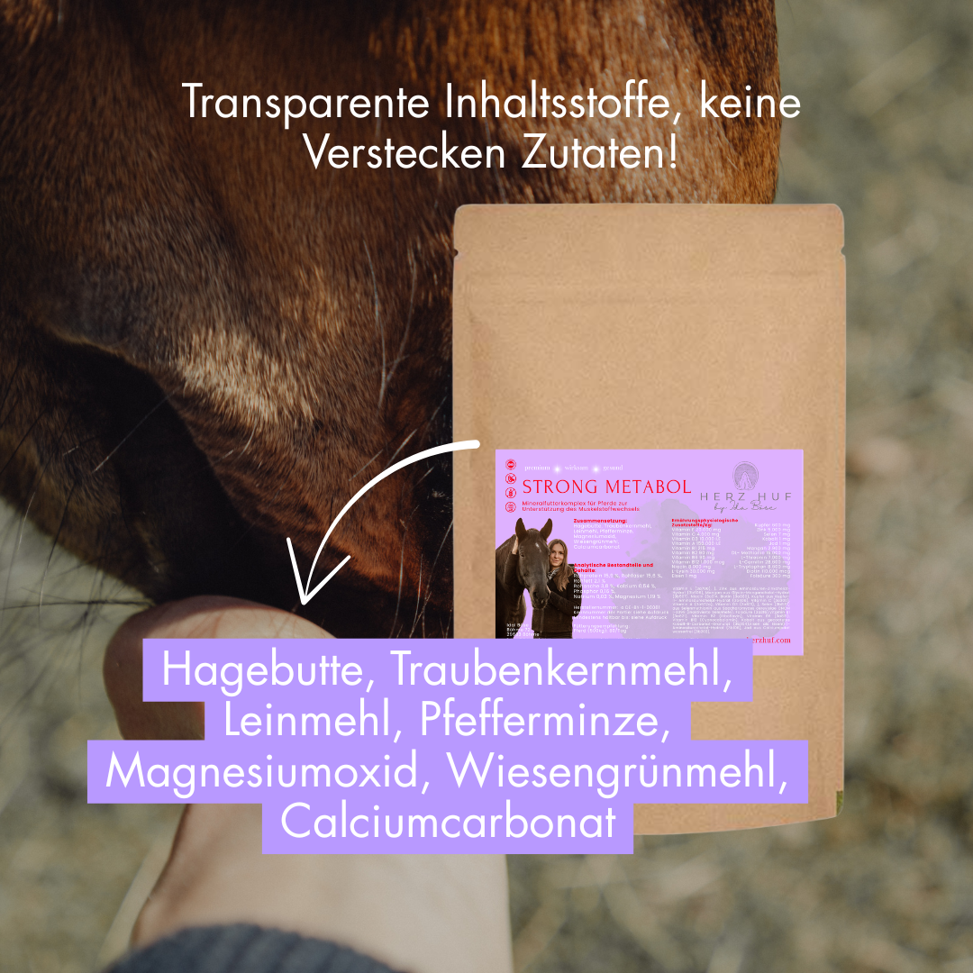 Strong Metabol Muskel (Mineralisierung)